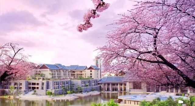 惠州总价最低的温泉入户 小别墅95平160万起 特价房先到先得，配套洲际酒店高尔夫球场-真的房房产网